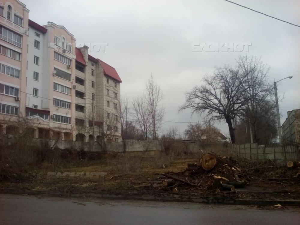 Воронежцы потребовали благоустроить сквер имени героя Бородинской битвы