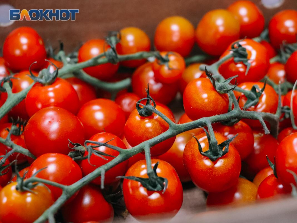 Воронежская область заняла первое место в России по числу производителей органической продукции