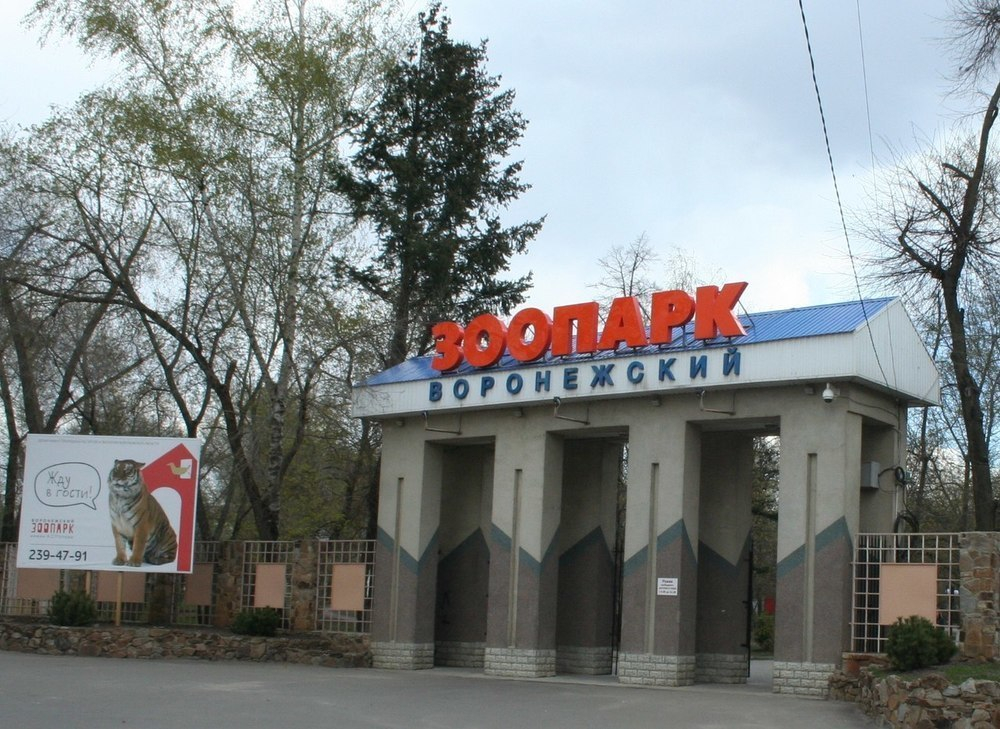 Воронежский зоопарк предлагает воронежцам билеты в обмен на помощь
