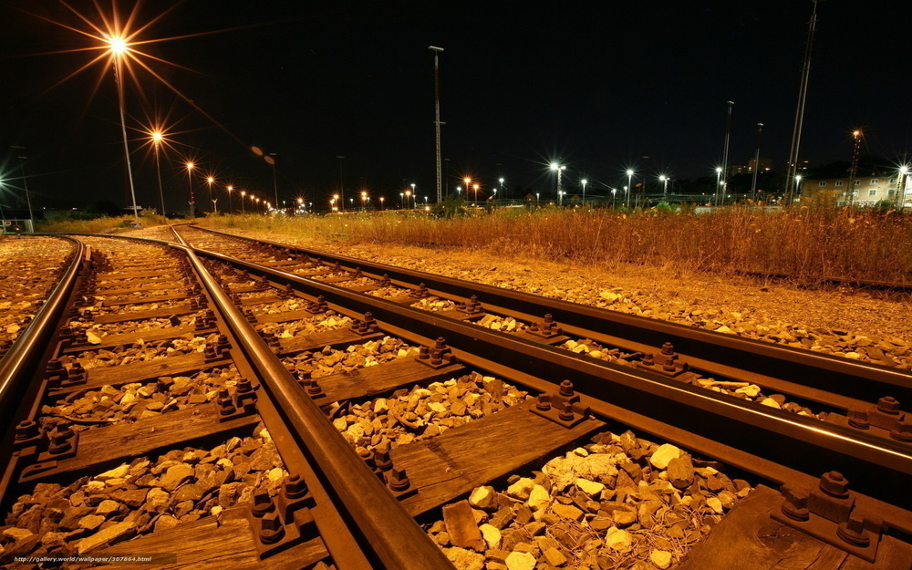 Неисправный светофор в Воронежской области задержал четыре пассажирских поезда