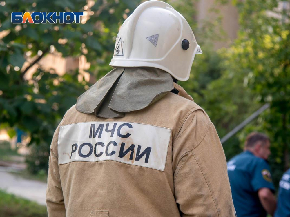 Правительство отменило особый противопожарный режим в Воронежской области