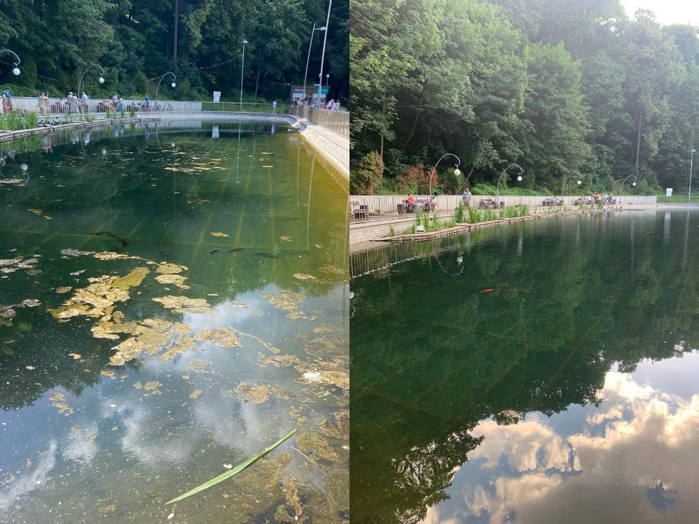 В Воронеже почистили пруд в Центральном парке после появления в соцсетях жутких снимков