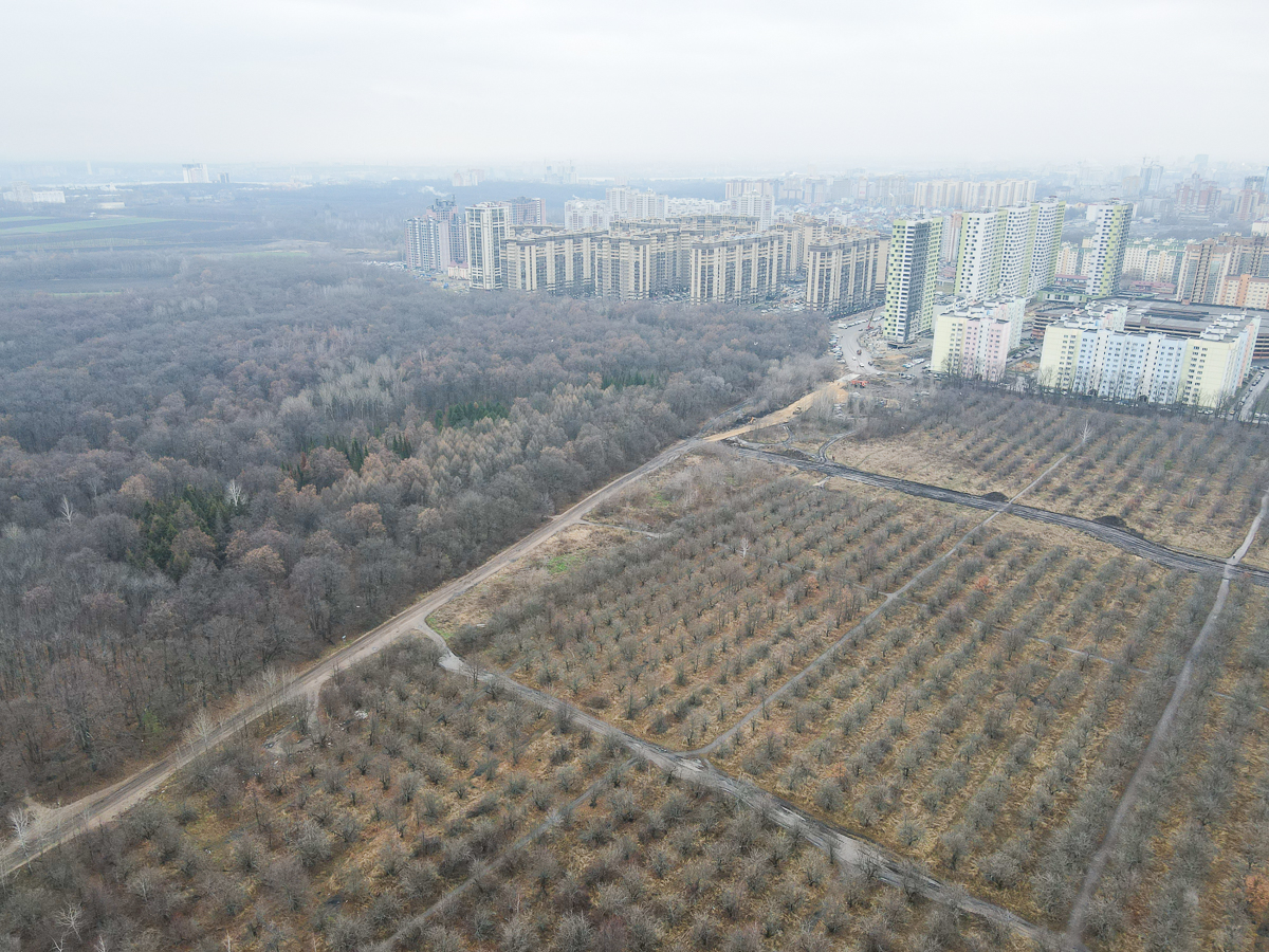 Воронеж Яблоневые Сады Купить Двушку