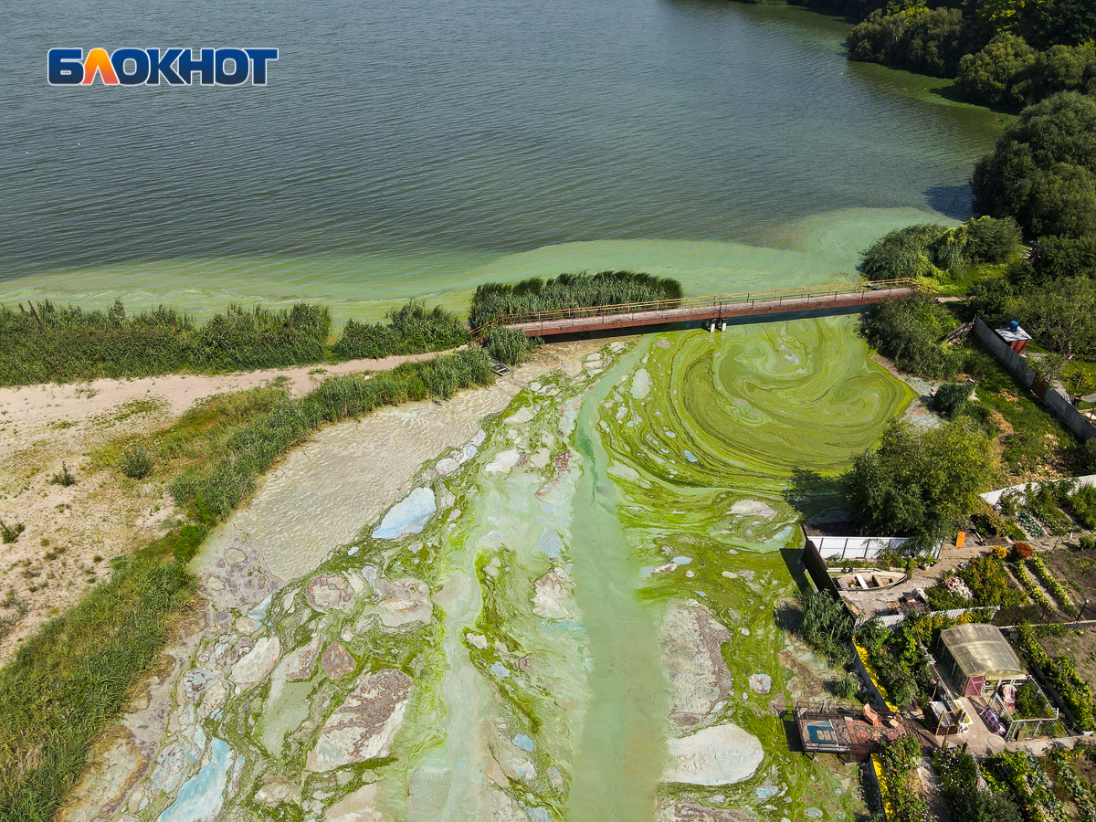 Фото водохранилища воронеж