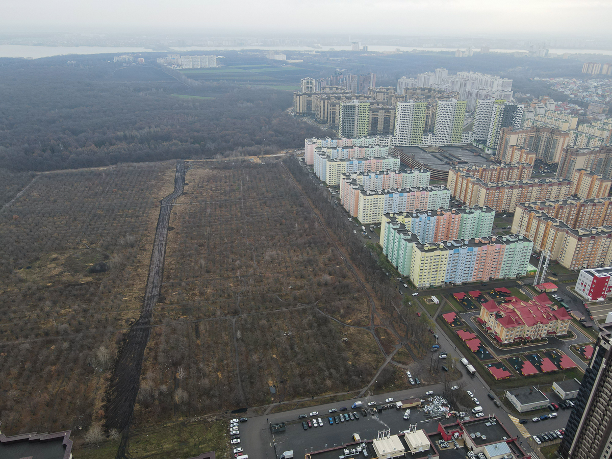 Воронеж Яблоневые Сады Купить Двушку