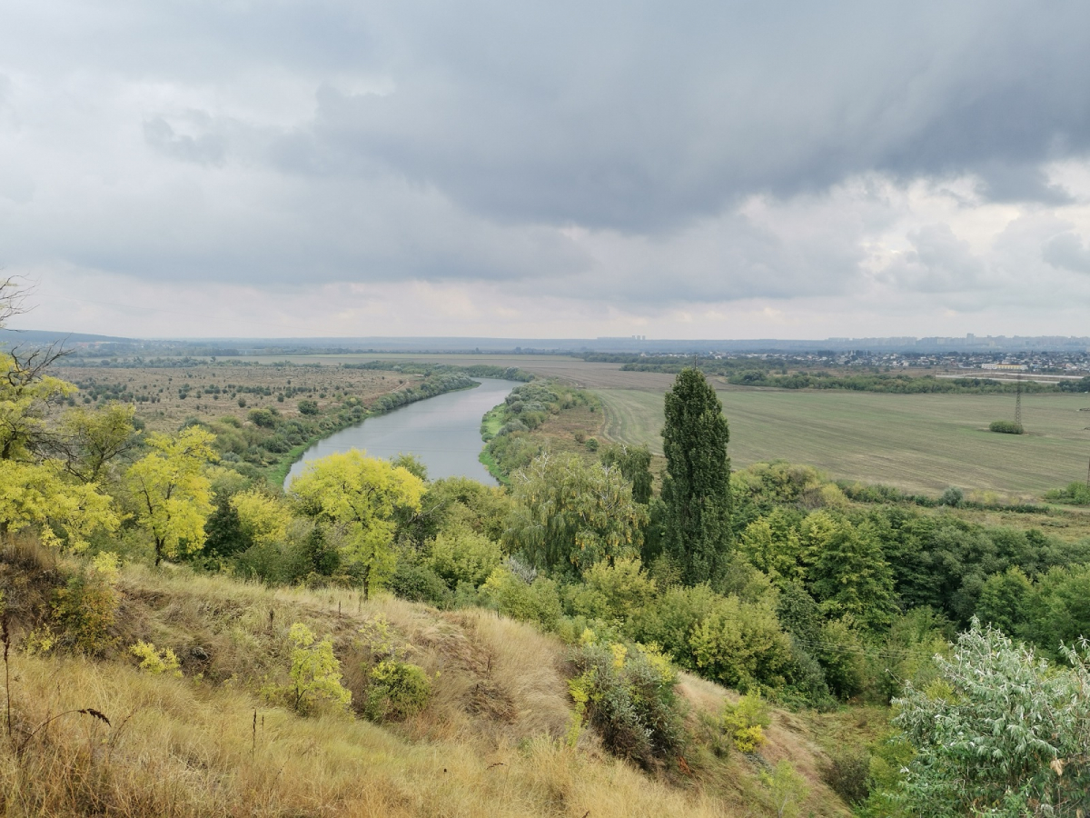 парк семилуки