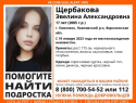 17-летняя девушка пропала в Воронежской области