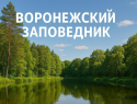 Воронежский заповедник бьёт рекорды посещаемости