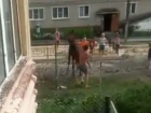 Жесточайшее избиение лошади сняли на видео в Воронежской области