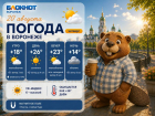 Лишь бы не сгореть: прогноз погоды в Воронеже