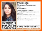 14-летняя девочка таинственно исчезла по дороге в Воронеж 