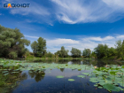 Озеро выставили на продажу за копеечную сумму в Воронежской области