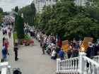 «Духовная жизнь — это труд»: почему воронежцы стали частью большого крестного хода