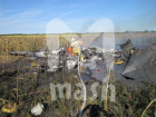 Опубликовано видео с последствиями падения самолета под Воронежем 