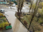 Фото семилукского позора поделились воронежцы и вспомнили о туристическом налоге