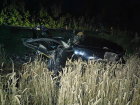 Семья из Воронежа погибла в страшном ДТП с фурой в Тамбовской области