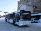 Популярный воронежский маршрут расширили тремя автобусами 