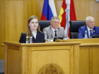 Новую оценку деятельности Молодежного парламента одобрили в Воронежской облдуме