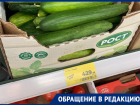 Цену на огурцы в 429 рублей за килограмм назвали лучшей в воронежском магазине