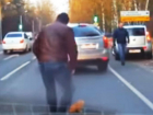 Спасение рыжего котенка на воронежской дороге попало на видео