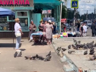 Драка торговок за место напротив димитровского рынка попала на видео в Воронеже