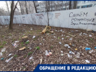 «Просто жесть»: на тотальное загрязнение квартала пожаловалась жительница Воронежа