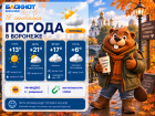 Солнышко вернулось: прогноз погоды в Воронеже