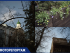 Не только подснежники: как Воронеж просыпается после зимней спячки