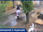 Под проливным дождем начали укладывать плитку в Воронеже