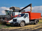 Второй миллион тонн зерна собрали аграрии с полей Воронежской области