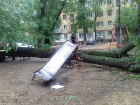 Рухнувшее от безумного ветра дерево разворотило детскую площадку в Воронеже