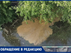 Гейзер кристально чистой воды из-под земли обрадовал детей в Воронеже 