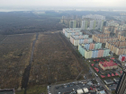 Из-за масштабной застройки яблоневого сада воронежцы хотят обратиться в прокуратуру