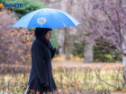 Дожди и похолодание прогнозируют синоптики на предстоящей неделе в Воронеже