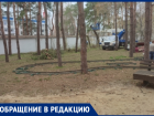 Жительница Воронежа обеспокоена судьбой белок в популярном парке