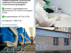 Коронавирус в Воронеже 30 июня: мартовские показатели, больные в аэропорту и вакцинный рекорд 
