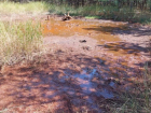 Излив никелевых скважин привел к вероятному загрязнению почв на воронежском Хопре