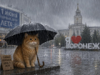 Какой погодой удивит первый день лета воронежцев 