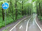 Торги на строительство велодорожки на месте 450 деревьев провалились под Воронежем