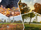 Золото под ногами: читатели "Блокнот Воронеж" делятся осенними кадрами