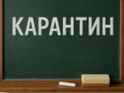 Больше 200 классов закрыли на карантин в Воронеже