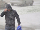 Спасатели предупредили воронежцев о снегопаде с ветром до 20 м/с