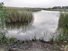 Смерть пенсионерки, которую достали из водоема, прокомментировали следователи в Воронеже