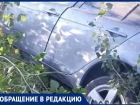 Чудом выжили: машина оказалась на дереве после ДТП из-за ямы в Воронежской области