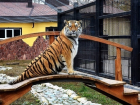 Воронежцам предлагают убрать зоопарк в обмен на билеты 