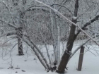 Снегопад, приправленный сильным ветром, надвигается на Воронеж