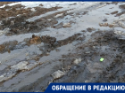 Воронежские чиновники прекратили переписку с многодетной мамой, уставшей терпеть «грязевые» издевательства  