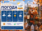 Дождливые выходные: прогноз погоды в Воронеже 