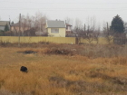 Самозахват земель с последующей продажей на 2 млн рублей выявили в Воронежской области