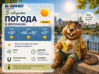 Жара до +34 добралась до Воронежа: прогноз погоды